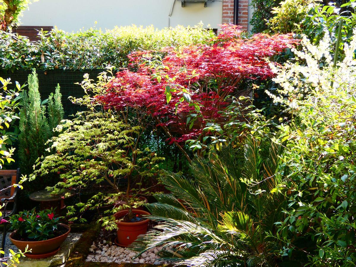 Ferienwohnung Garden Sweet House Desenzano Desenzano del Garda Exterior foto